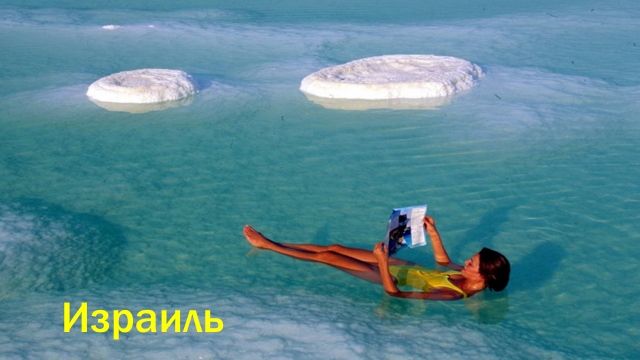  -   1996  -    ,    ,  ,  ,   ..